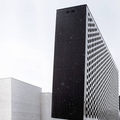 _MG_8449